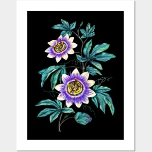 Passion flower. Witchy herbs Posters and Art